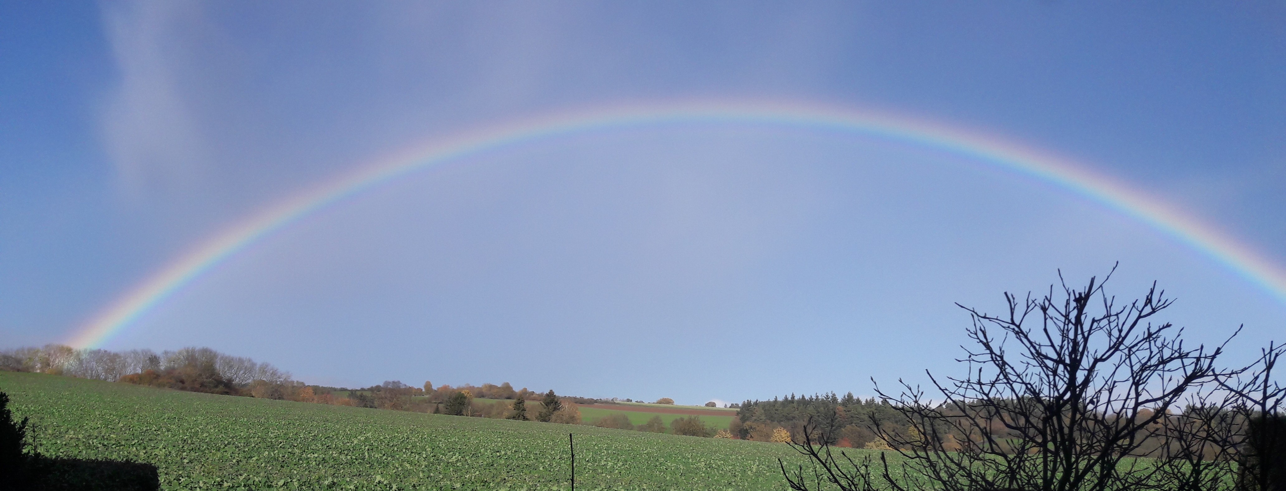 Foto Regenbogen