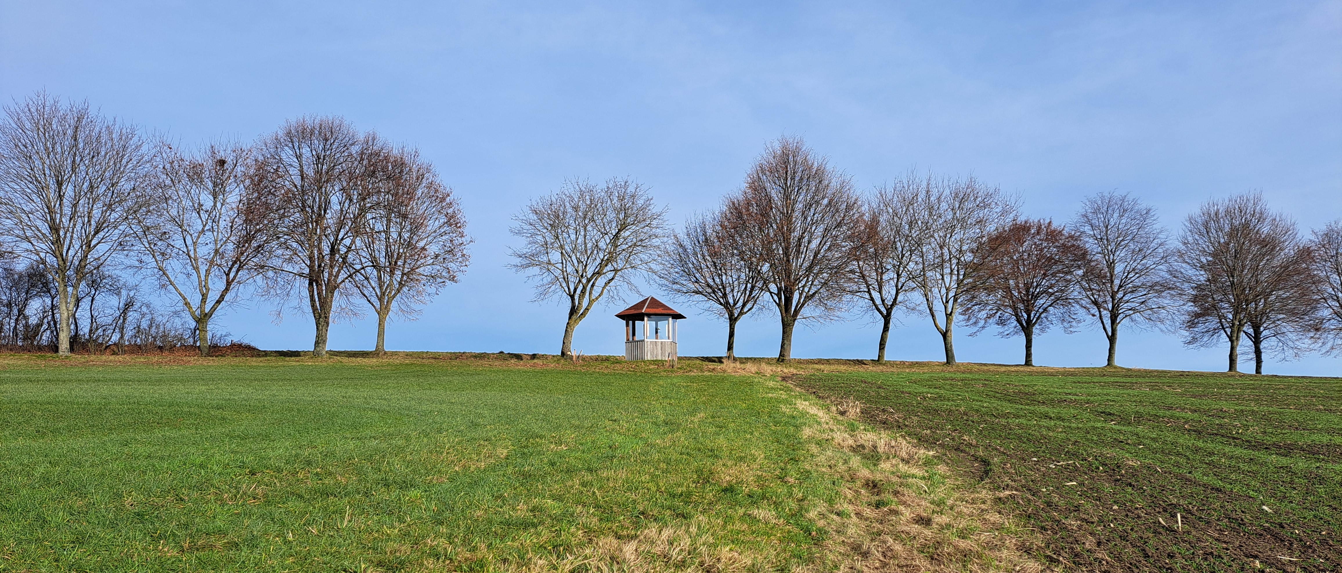Foto Baumallee mit H&uuml;tte